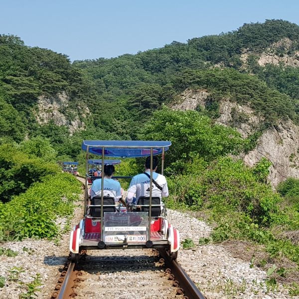 25 Best Day Trips From Seoul: Tours From Seoul To Try In 2024 13 Riding a Rail Bike in Korea