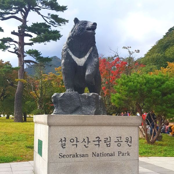 Seoraksan National Park Bear Statue Seoraksan National Park Bear Statue