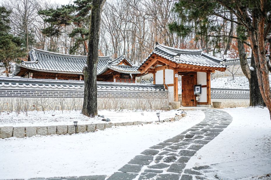 About Me 5 Snow scene during winter in Korea