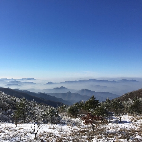 A Guide To Winter In Korea 2024: 20+ Best Winter Activities 23 Sobaeksan National Park during winter in Korea
