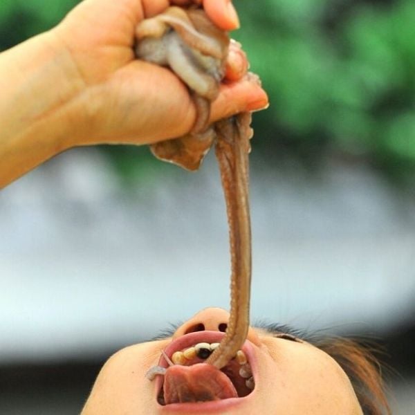 50 Unique Korean Experiences In Korea You'll Definitely Love 50 Strange Korean Foods Eaten Raw
