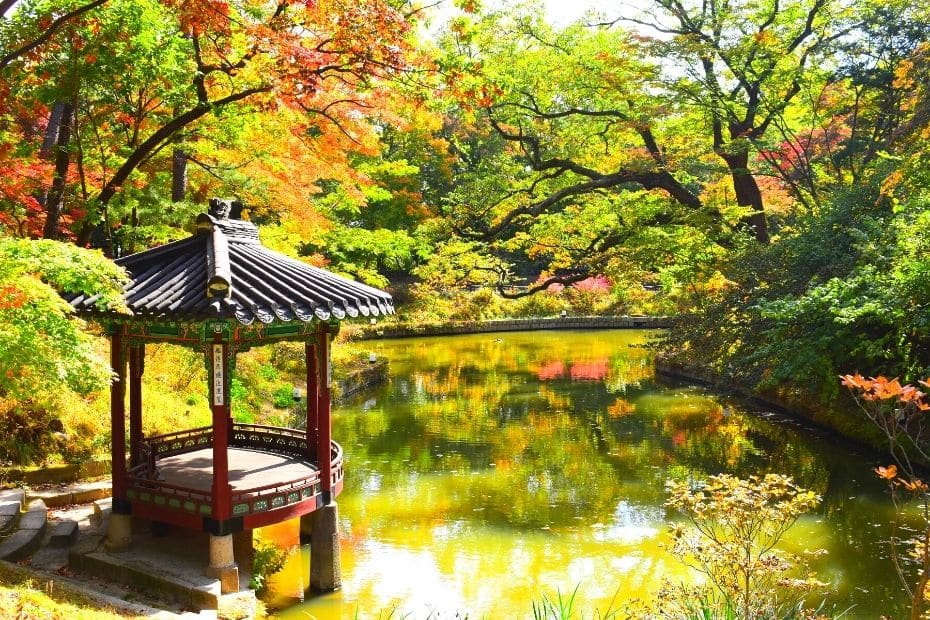 Beautiful Korean Autumn Leaves Pictures: Best Foliage 2024 5 Autumn leaves at the Secret Garden in Seoul
