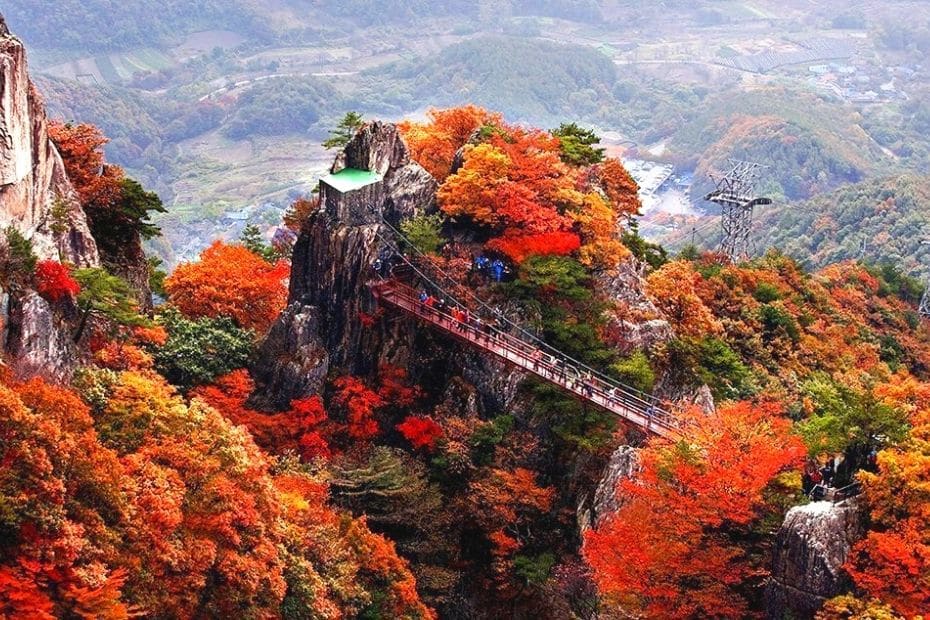 Beautiful Korean Autumn Leaves Pictures: Best Foliage 2024 36 Suspension bridge at Daedunsan Provincial Park