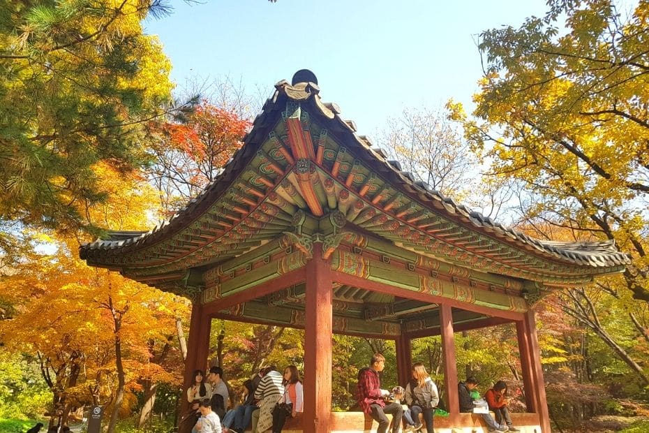 Beautiful Korean Autumn Leaves Pictures: Best Foliage 2024 8 People resting in Changgyeong Palace, Seoul