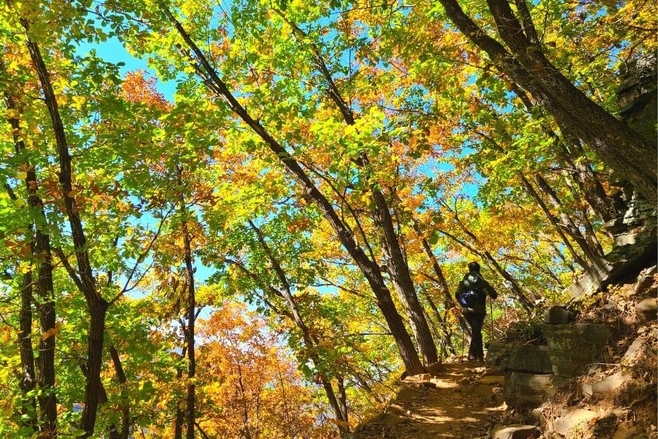 Beautiful Korean Autumn Leaves Pictures: Best Foliage 2024 37 Hiking path at Mindungsan Mountain, Korea