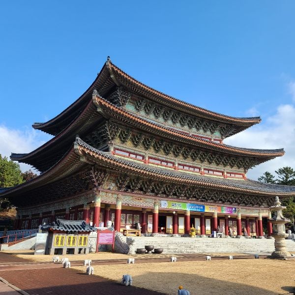 Do A Temple Stay In Korea For An Amazing Experience In 2024 16 Yakchunsa Temple on Jeju Island Korea