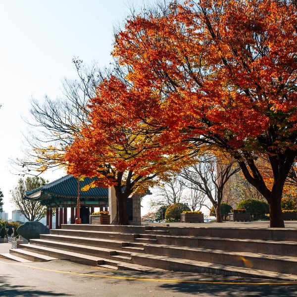 Yongdusan Park Busan in Autumn Yongdusan Park Busan in Autumn