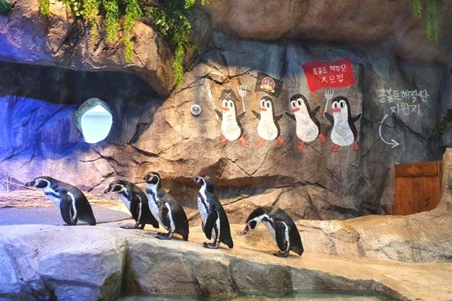 Discover Seoul Pass Itineraries That Save You Money 2024 13 Zoolung Zoolung Indoor Zoo